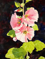 Hollyhocks by Katherine Fast